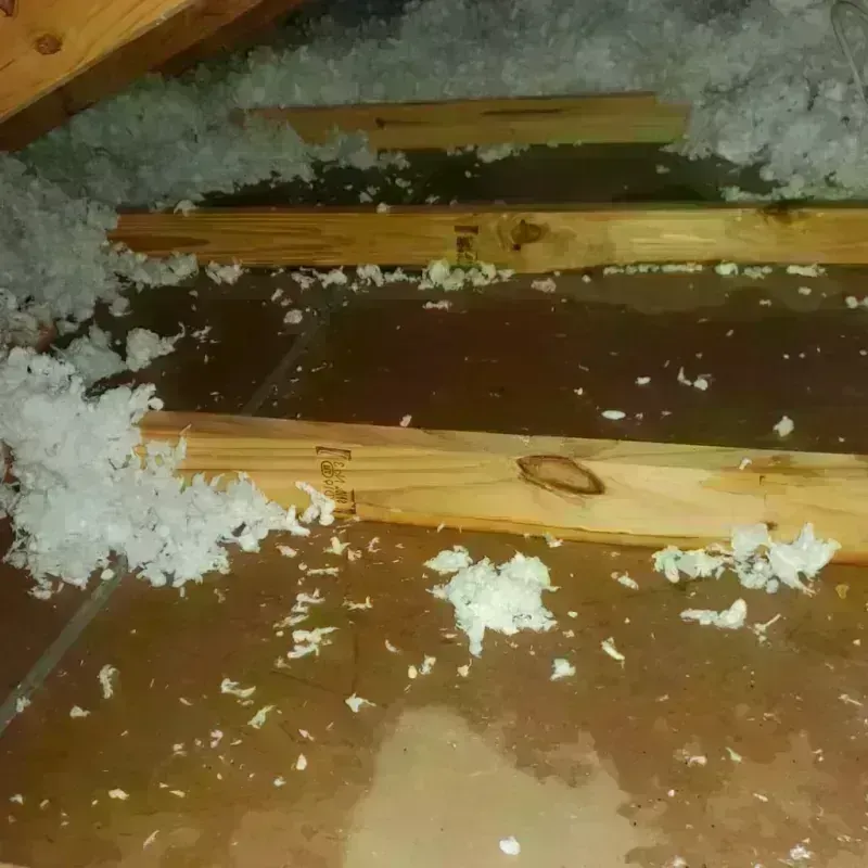 Attic Water Damage in Corydon, IA