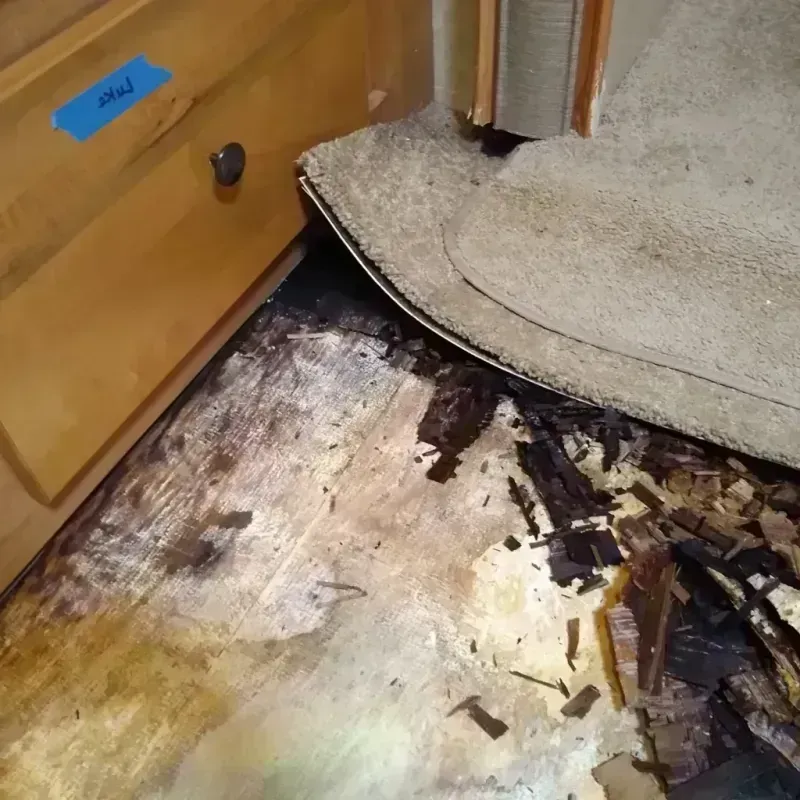 Best Wood Floor Water Damage Service in Corydon, IA